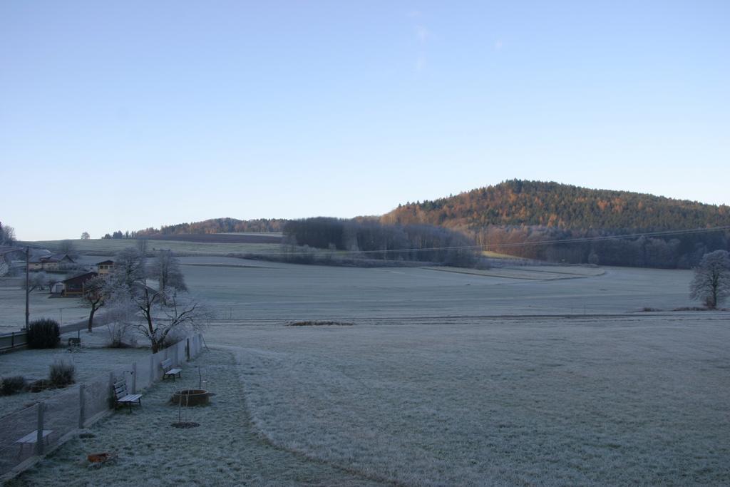 Haus Am Treffenbach Apartment Waldmunchen Bagian luar foto